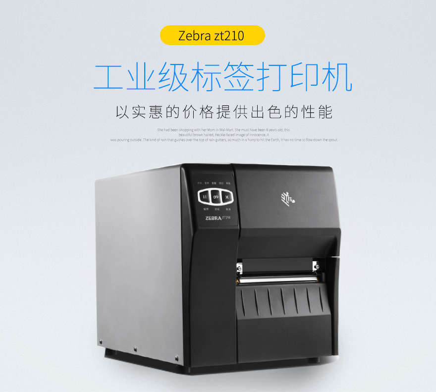 斑馬Zebra ZT210工業條碼打印機