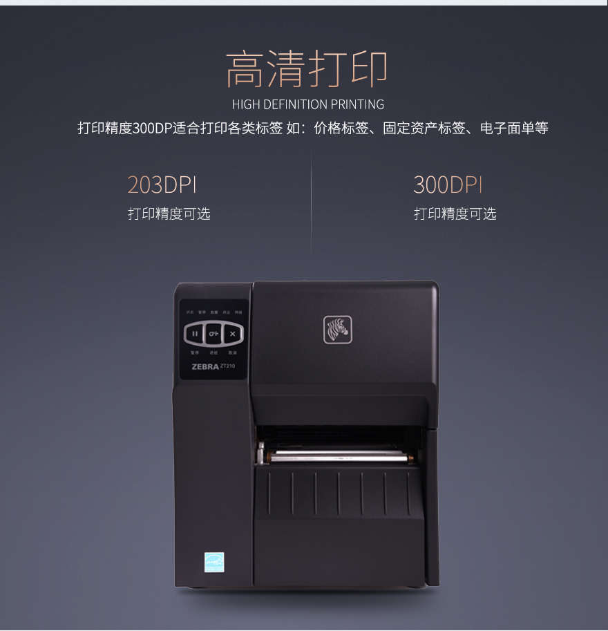 斑馬Zebra ZT210工業條碼打印機